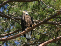img_5033.jpg